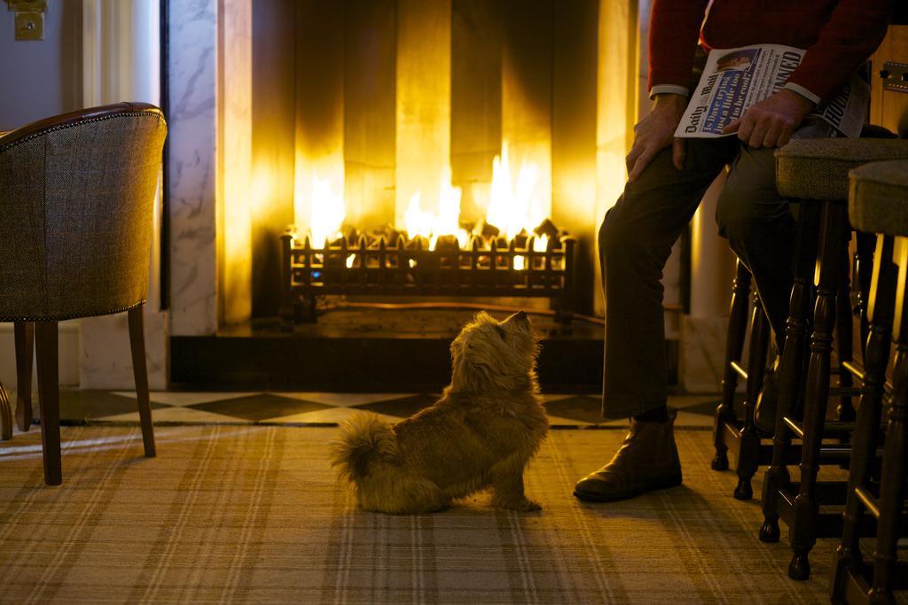 Headlam Hall Hotel 외부 사진
